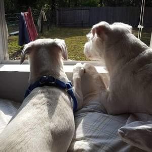 Meet your Posher, Paul